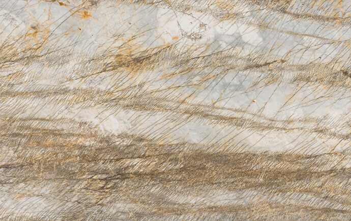 Fossil Element