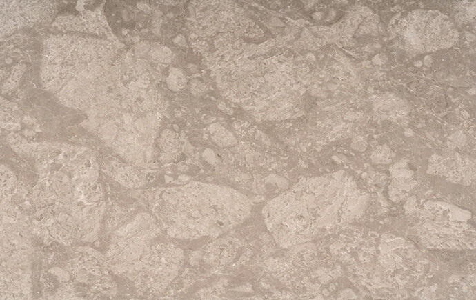 Grey Dragon
