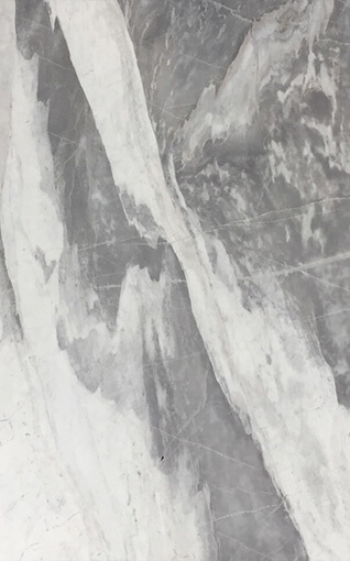Silver Dove