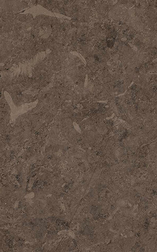 Brown Antico